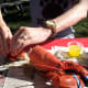 cooking-live-lobsters-how-to-host-a-live-lobster-party