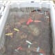 Lobster holding tank, Perry's Lobster Shack, Newbury Neck, Surry, Maine.