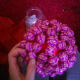 how-to-make-sweet-trees