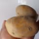Potatoes.