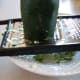 Shred the zucchini.