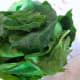 Fresh baby spinach