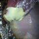 Applying butter to the turkey. I've scooped the butter with plastic wrap in order to apply it to the bird.
