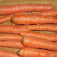 Carrots ready to be peeled and shredded.