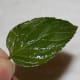 Lightly brush dry leaves with egg white or dip them in flavored water.