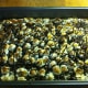 Drizzle with melted chocolate, cool completely before cutting into bars.