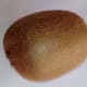 The Kiwi Fruit