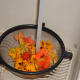 Rinse the Nasturtium flowers thoroughly.