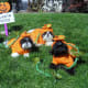 If you wish to see more cute photos like this check out the post titled Shih Tzu Dog Costume Photos including Merry Christmas Cards.