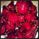 Beautiful Rosella Fruits