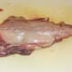 Fresh rabbit saddle