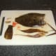 Tail and fins have been removed from the flounder