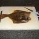Kitchen scissors are the best tool for removing the flounder's fins