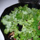 diy-easy-healthy-recipe-kale-and-feta-pizza