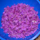 There are actually more blossoms in this bowl than it seems!