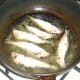 Shallow frying sprats
