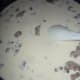 Add 3 cups of whole or 2% milk. Turn the heat up to medium/high and start stirring slowly.