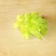 Fresh celery leaves