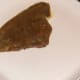 Fried plaice fillet is plated