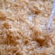 Step 1: Rinsed and soaked rice.