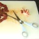 Trimming excess fat from kidneys