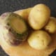 Tatties and neep ready for peeling