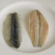 Fresh herring fillets