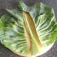 Removing the stalk from the leaf.