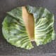 The leaf is cut fully in half.