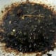 9. Next, add in the chili paste and fry until oil separates. Then, add in the four sauces, dark soy sauce, sweet soy sauce, oyster sauce and tomato sauce. Mix them together. Add salt & sugar.