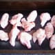 Chicken wings are oiled and seasoned for roasting