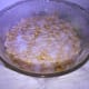 Small clumps of fluffy white mycelium are growing after at least 12 hours.