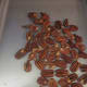 Step 6