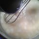 Whisking in chicken broth