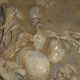 minnesota-cooking-oyster-stew
