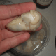 minnesota-cooking-oyster-stew