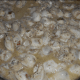 Butter and oysters
