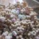 Lucky Charms and Rice Krispies.