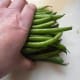 minnesota-cooking-green-beans-in-butter-with-onion-bits