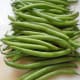 minnesota-cooking-green-beans-in-butter-with-onion-bits