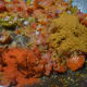 Add the masala powders.