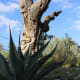 twisted-x-brewing-company-handcrafted-beer-in-dripping-springs-tx