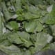 green leafy vegetables