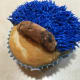 This is my cupcake half done with the fur.