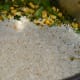 Step 6: Add soaked rice and salt. Stir cook for 2 minutes.