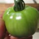 select green tomato