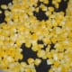 Cooked corn kernels. Put them in a bowl.