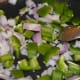Step four: Saute chopped onions and capsicum in the some oil. Put them in the same bowl as the corn.