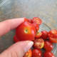 I slice my cherry tomatoes right through the center where the stem attaches