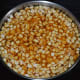 Step nine: Pour the mix into the greased plate. Tap the sides to ensure uniform spreading of the mix.